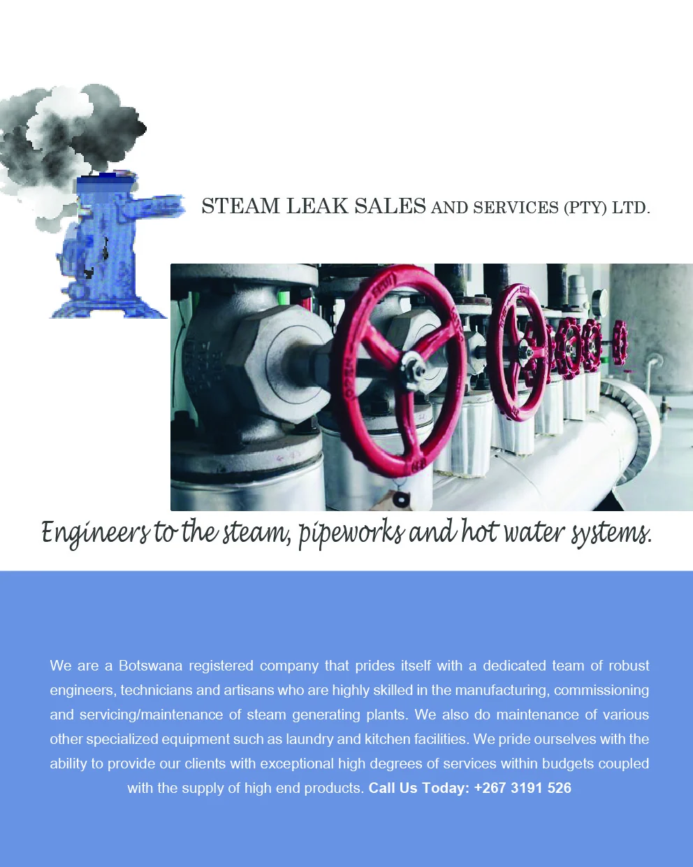 STEAM LEAKS SALES And SERVICES (PTY) LTD — view organisation