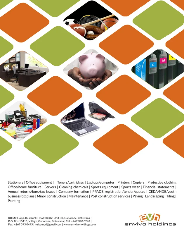 En Vivo Holdings — view organisation