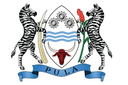 Department of Broadcasting Services logo