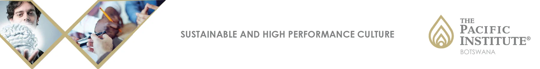 The Pacific Institute Botswana — view organisation