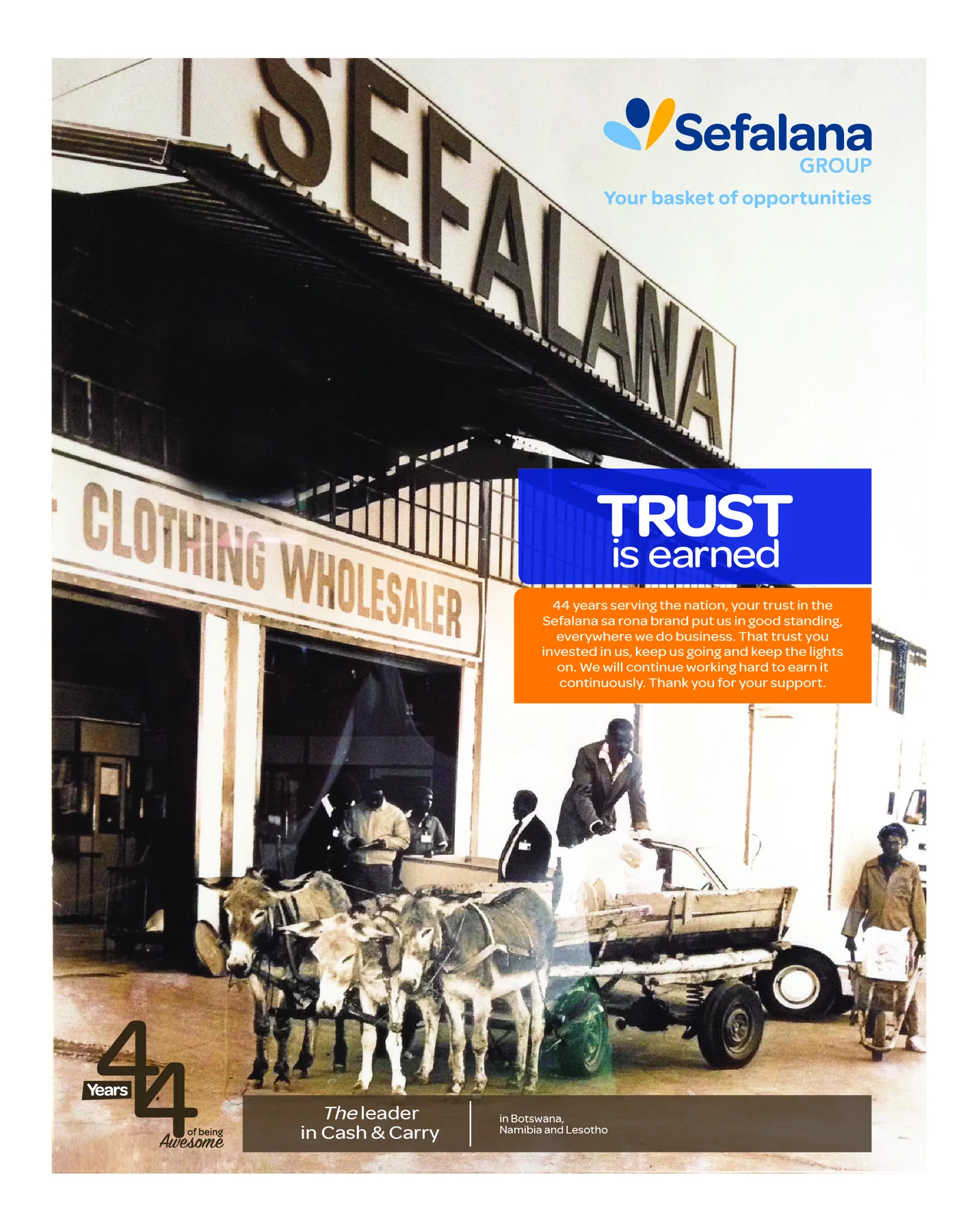 Sefalana Group — view organisation
