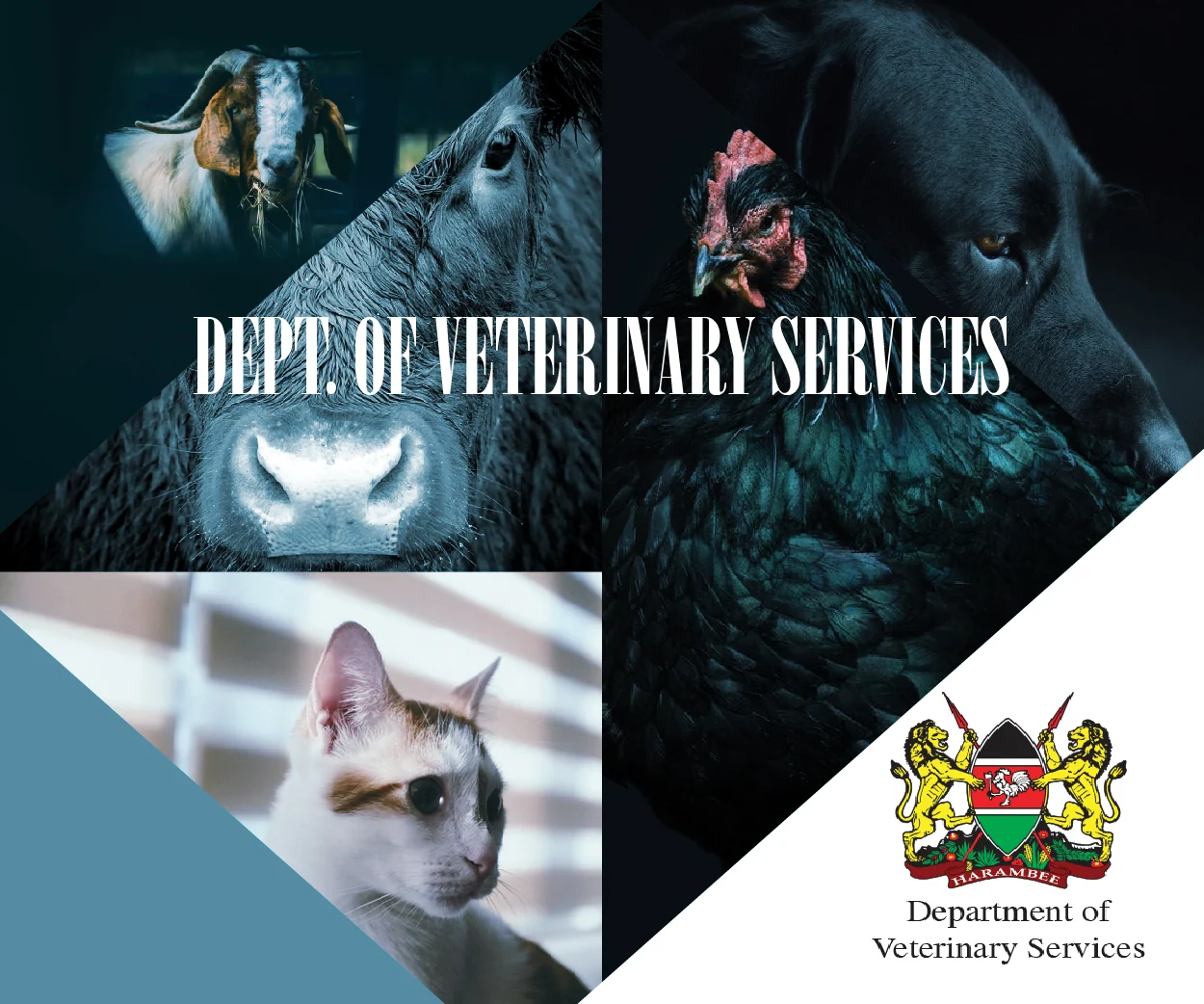 Department Of Veterinary Services artwork