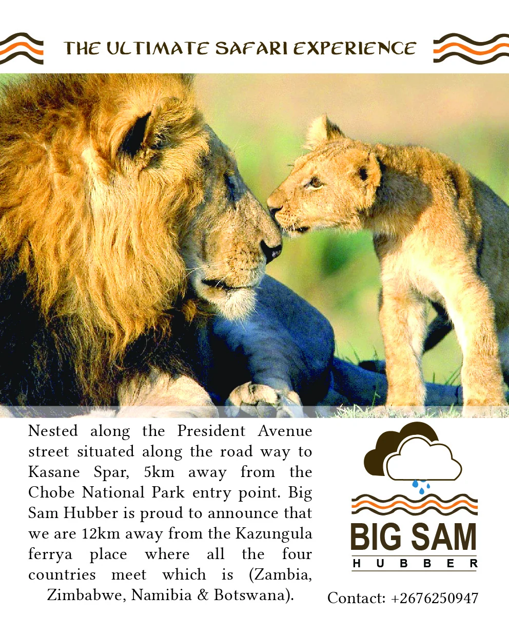 Big Sam Hubber — view organisation