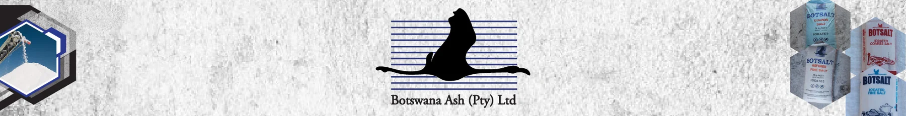Botswana Ash (Pty) Ltd — view organisation