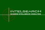 Business Intelligence Consulting for Risk Mitigation logo