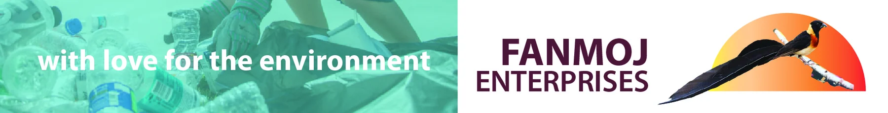 Fan Moj Enterprises (Pty) Ltd — view organisation