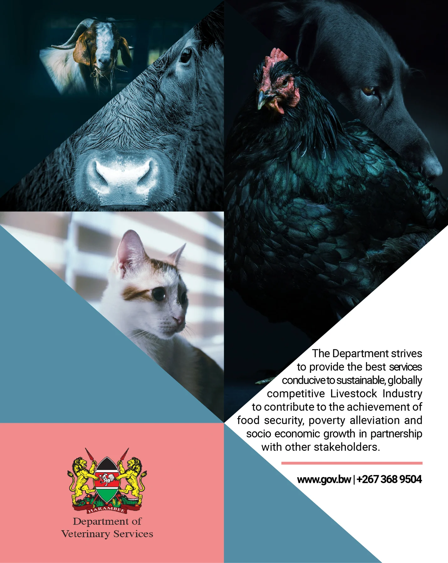 Company artwork