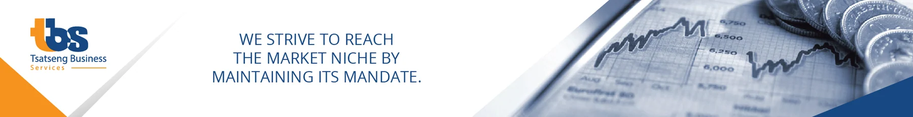 Tsatseng Busines Services — view organisation