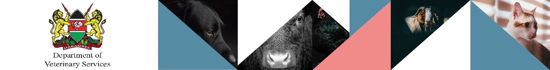 Department Of Veterinary Services banner