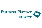 Business Planner Palapye logo