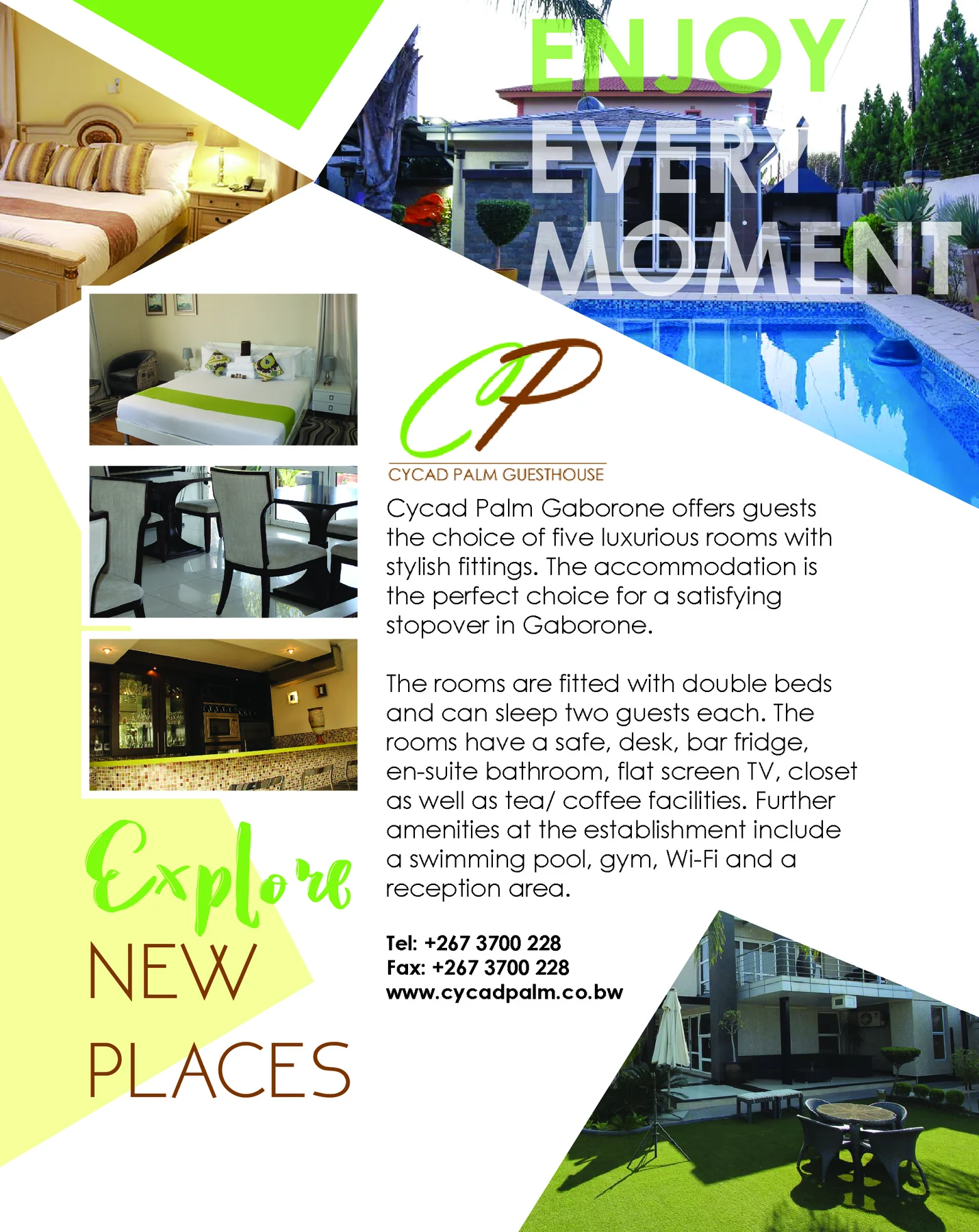 Cycad PalmGuest House artwork