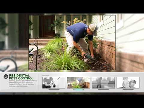 Integrated Pest Technicians (Pty) Ltd video preview