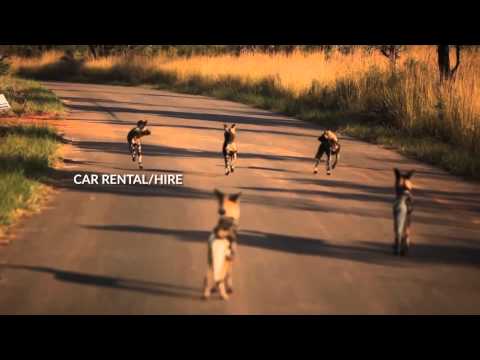 Fine Bush Tours video preview