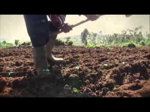 Sadc Dfrc Southern African Development Community video preview